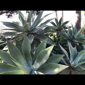 Meet your Posher, Mar